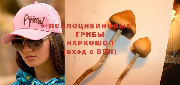 прущая мука Горнозаводск