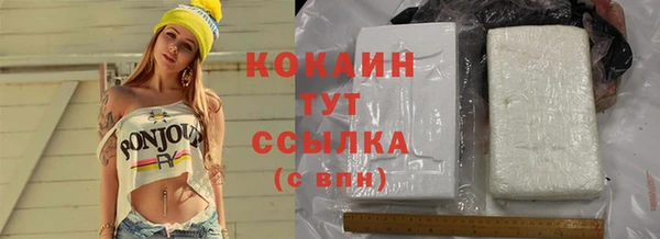 ешки Горняк