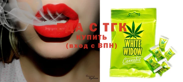ешки Горняк