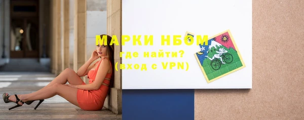 ешки Горняк