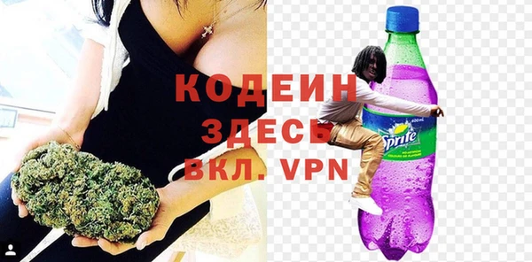 ешки Горняк