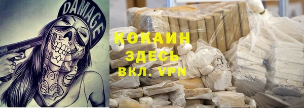 ешки Горняк