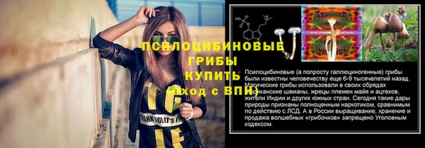 шишки Вязники